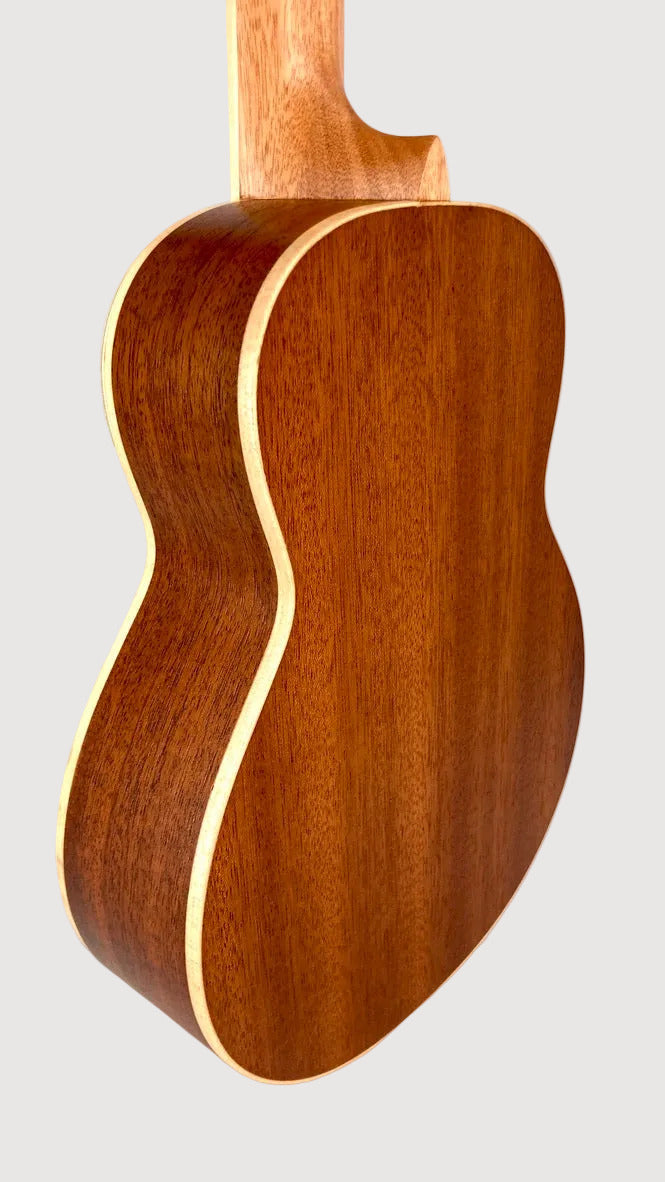 aNueNue UC-10 IG Concert