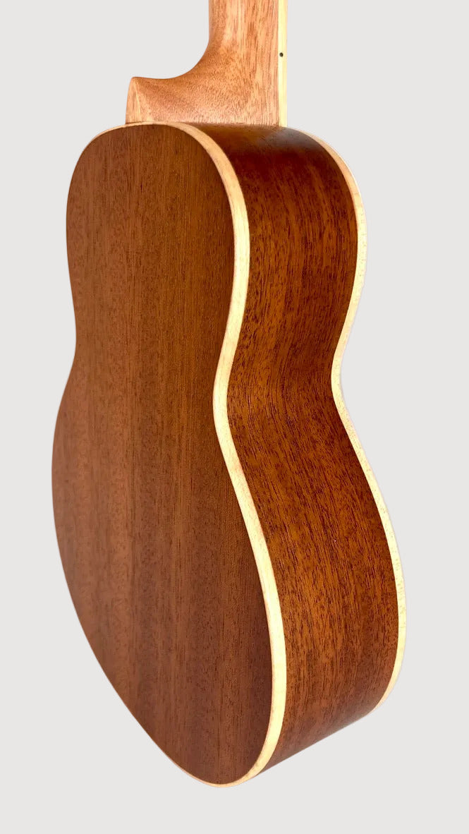 aNueNue UC-10 IG Concert