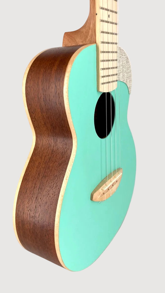 aNueNue UC-10 IG Concert