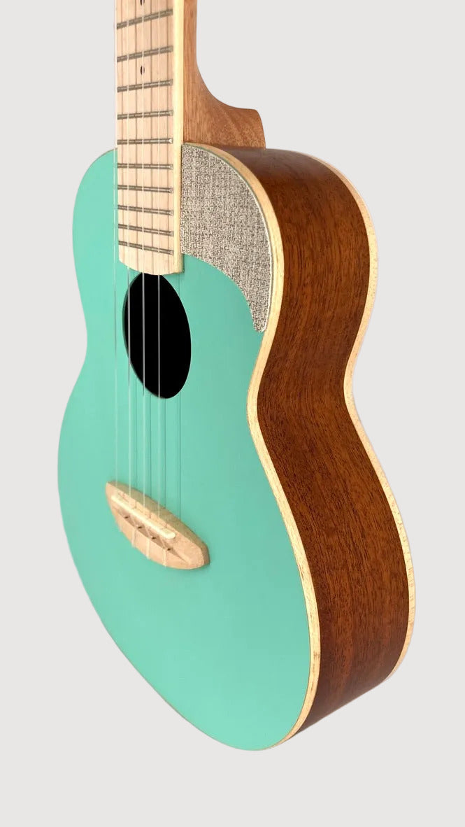 aNueNue UC-10 IG Concert