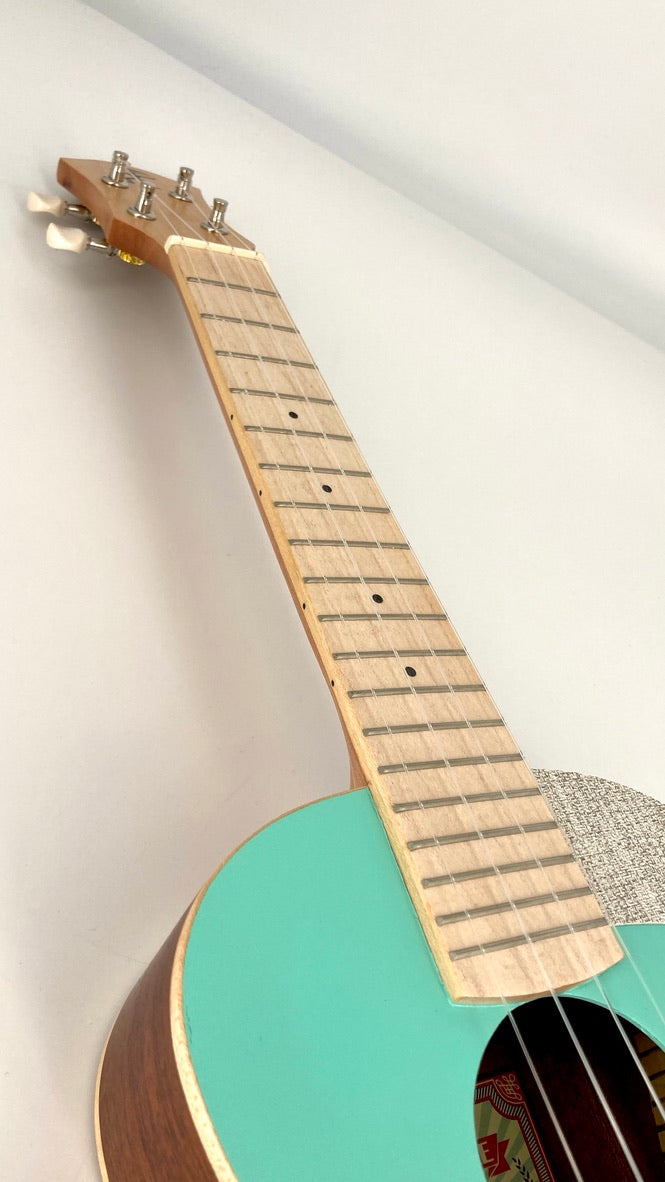 aNueNue UC-10 IG Concert