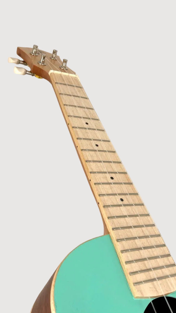 aNueNue UC-10 IG Concert