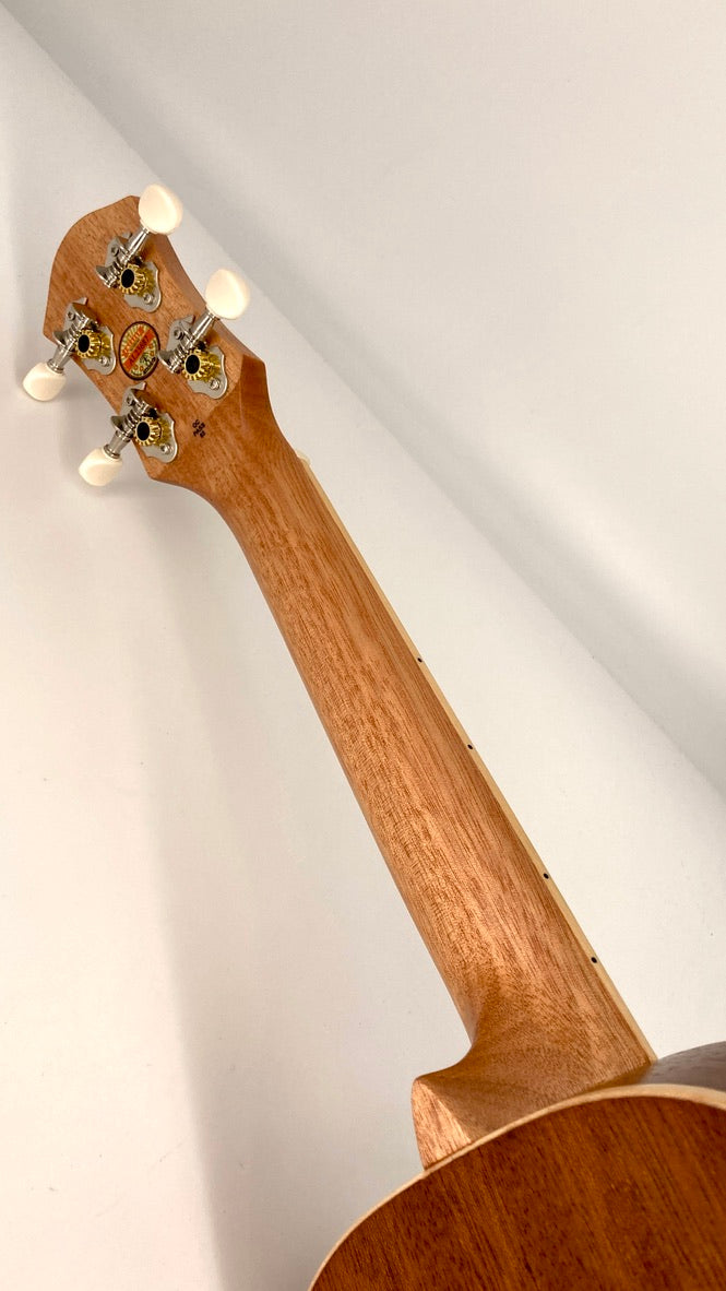 aNueNue UC-10 IG Concert