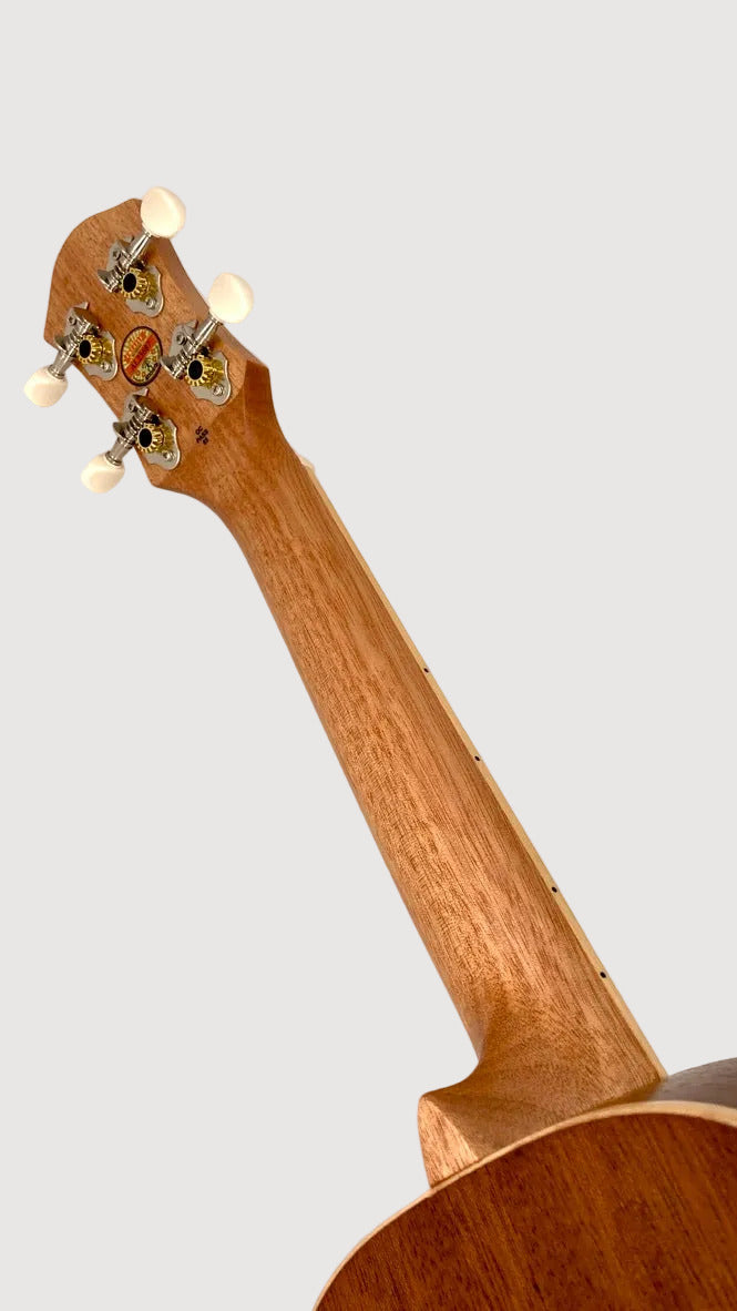 aNueNue UC-10 IG Concert