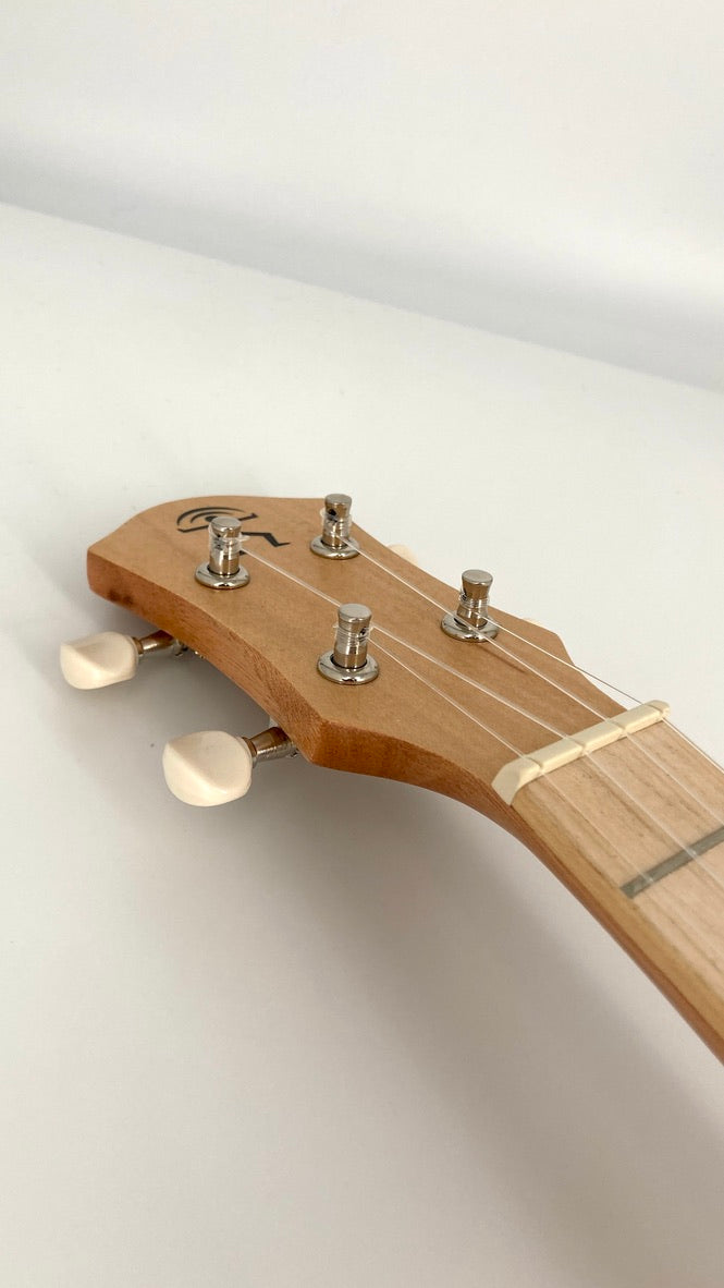 aNueNue UC-10 IG Concert