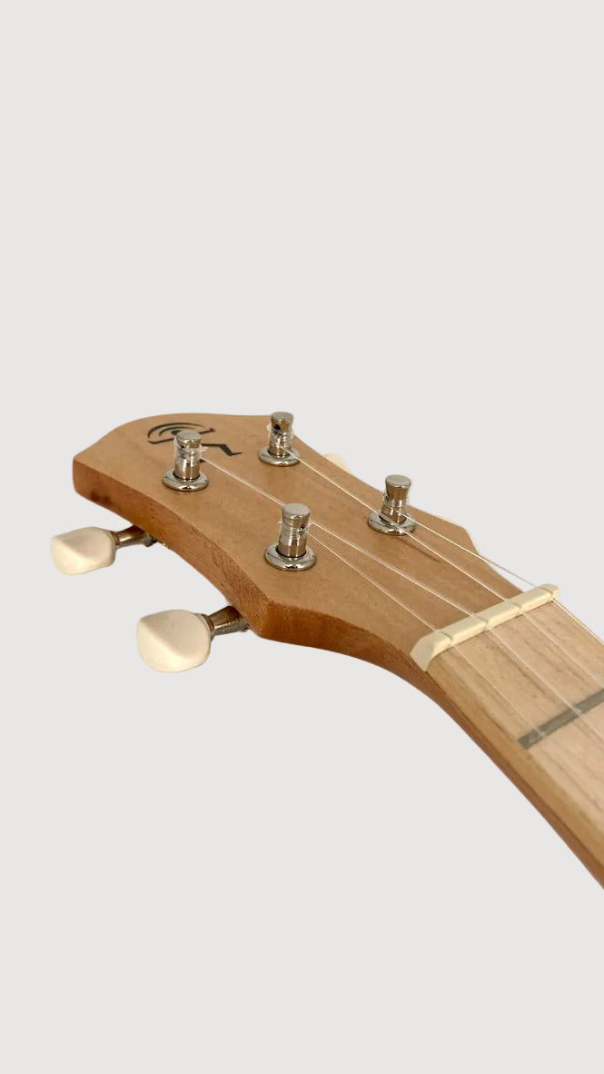 aNueNue UC-10 IG Concert
