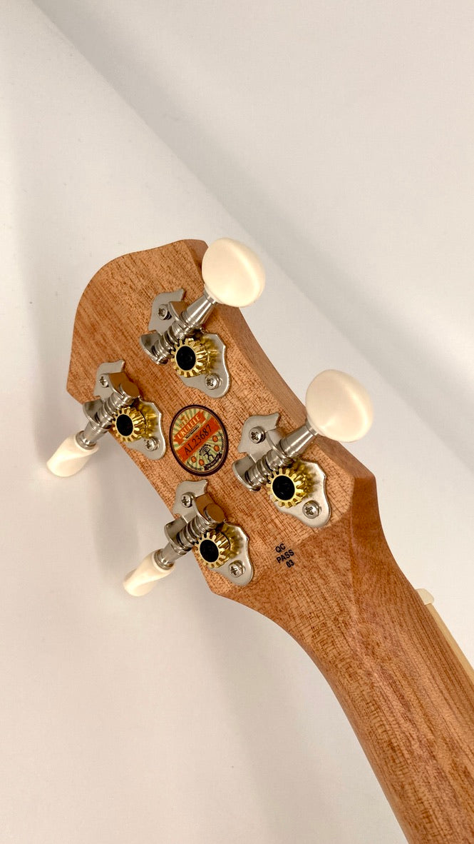 aNueNue UC-10 IG Concert