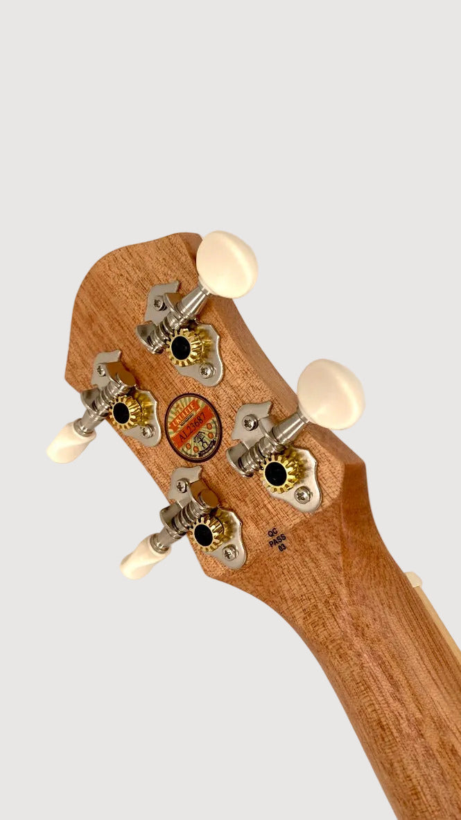 aNueNue UC-10 IG Concert