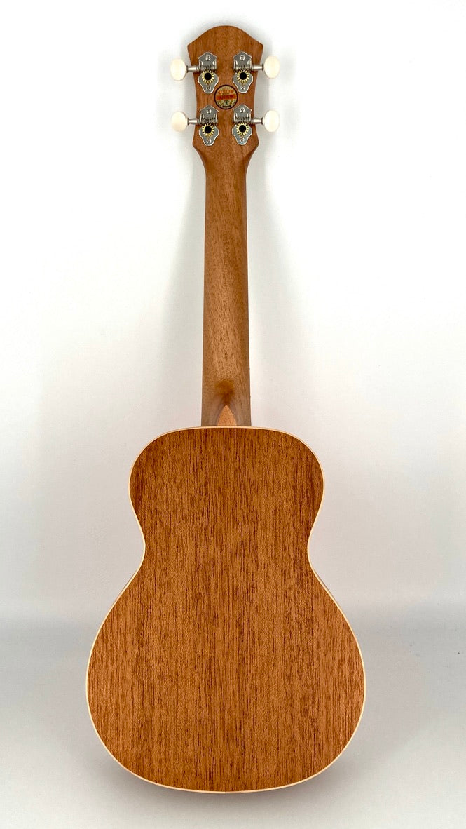 aNueNue UC-10 LC Concert