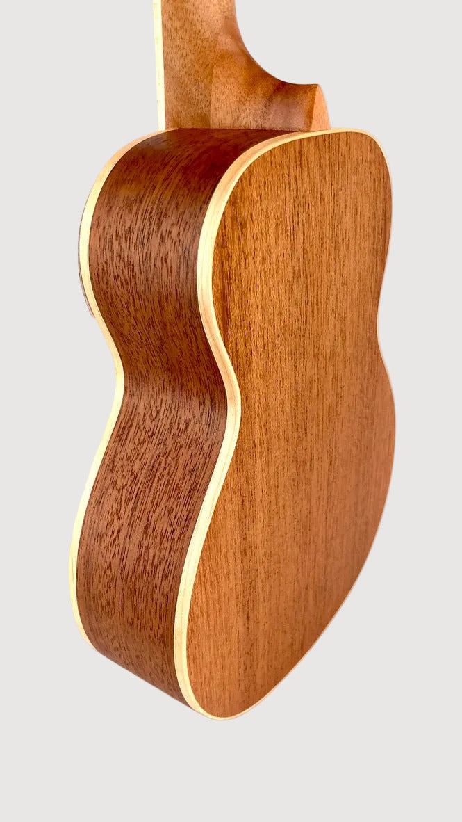 aNueNue UC-10 LC Concert