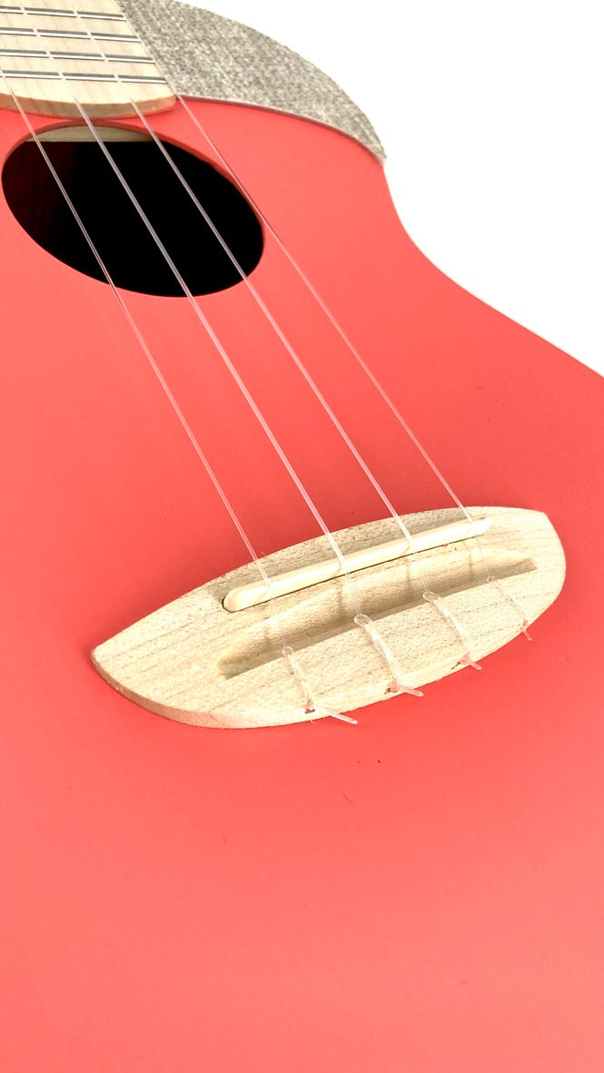 aNueNue UC-10 LC Concert