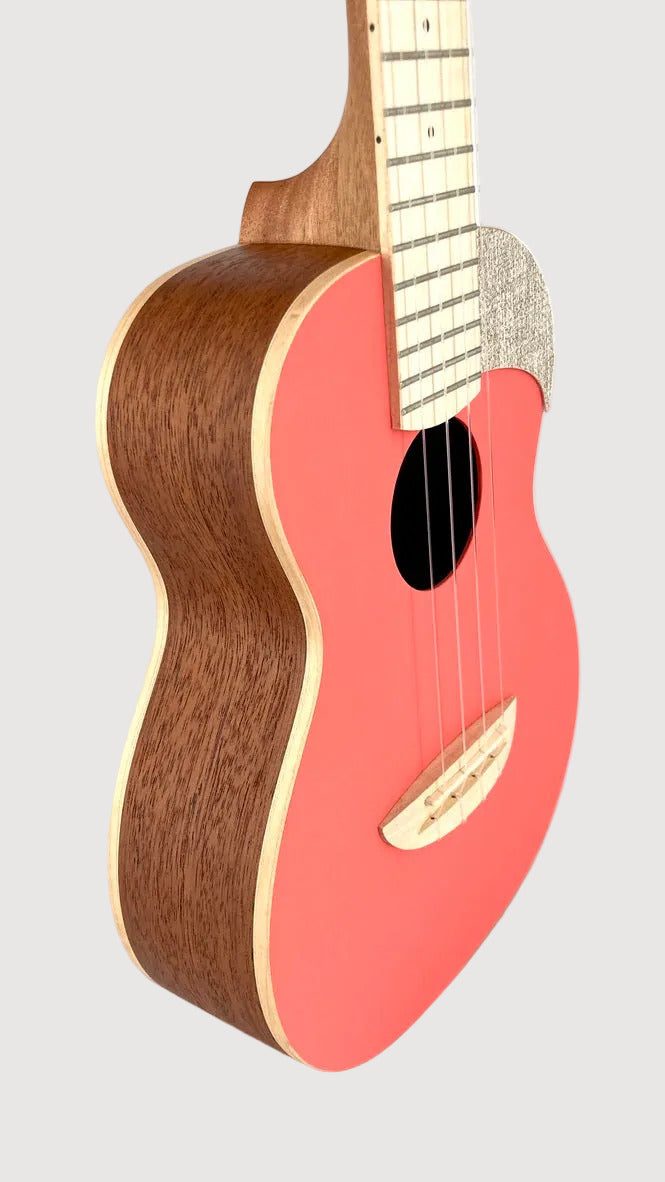 aNueNue UC-10 LC Concert