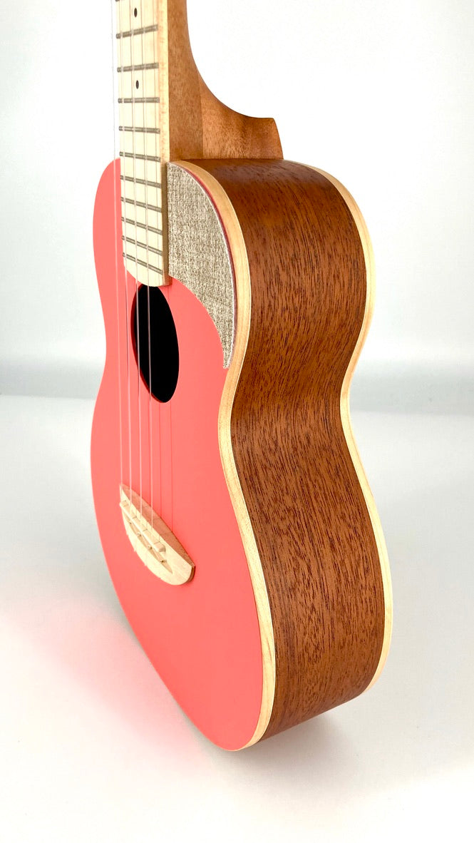 aNueNue UC-10 LC Concert