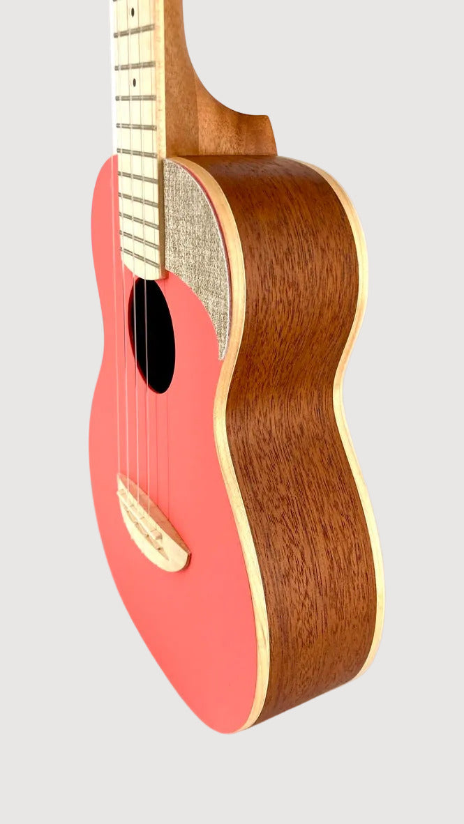 aNueNue UC-10 LC Concert