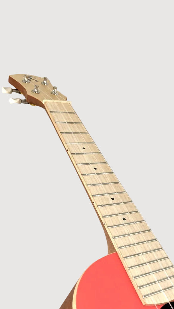 aNueNue UC-10 LC Concert