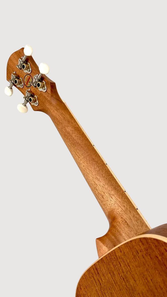 aNueNue UC-10 LC Concert