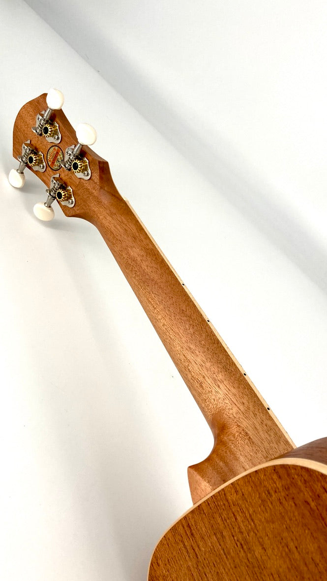 aNueNue UC-10 LCE Concert mit Pickup