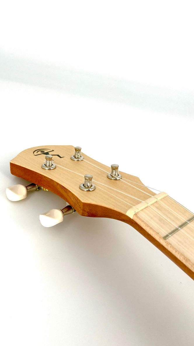 aNueNue UC-10 LC Concert