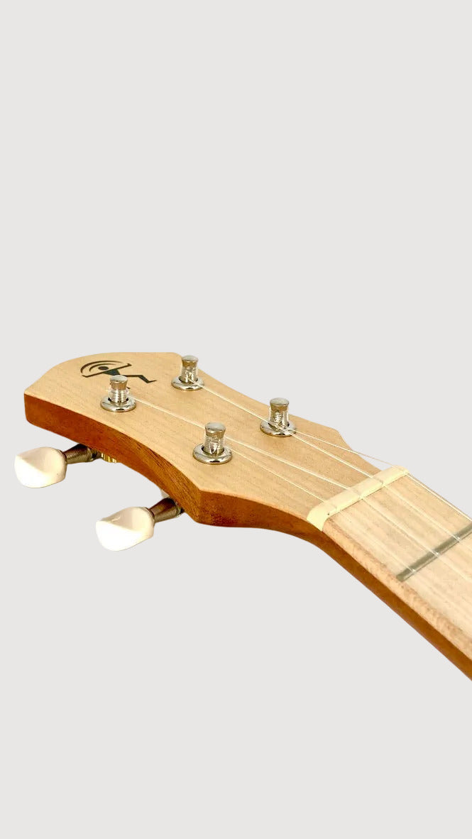 aNueNue UC-10 LC Concert