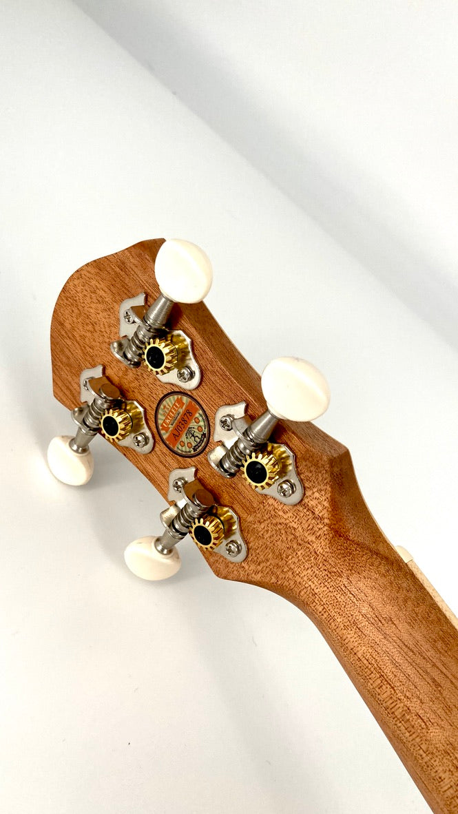 aNueNue UC-10 LCE Concert mit Pickup