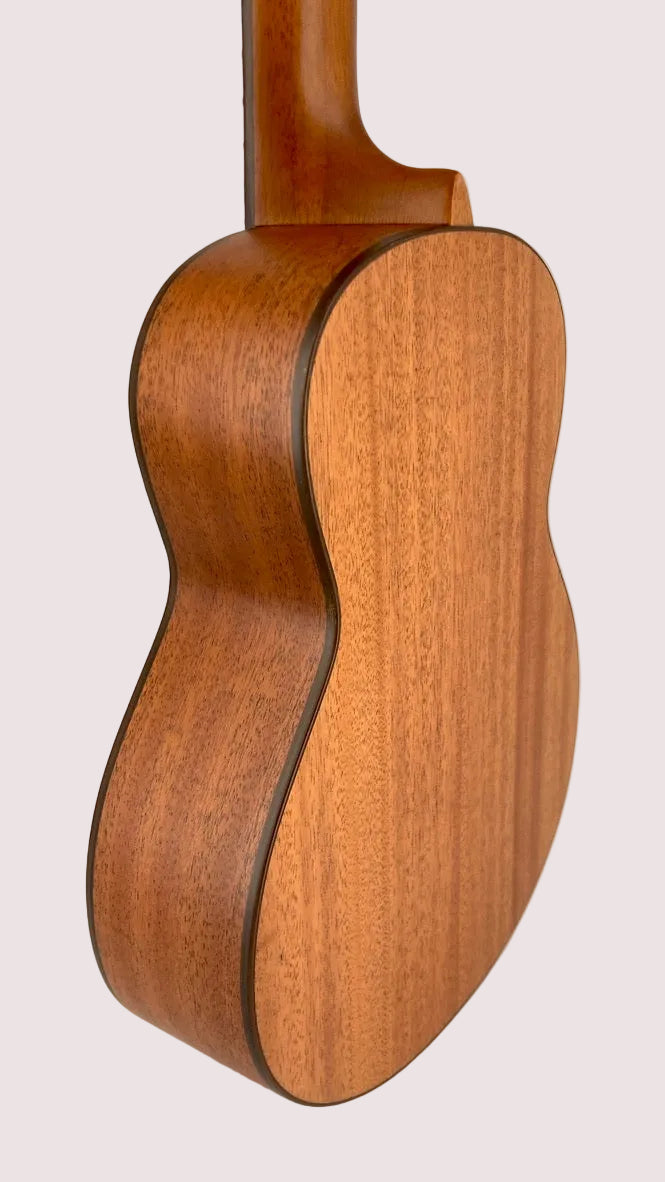 aNueNue C3 Concert