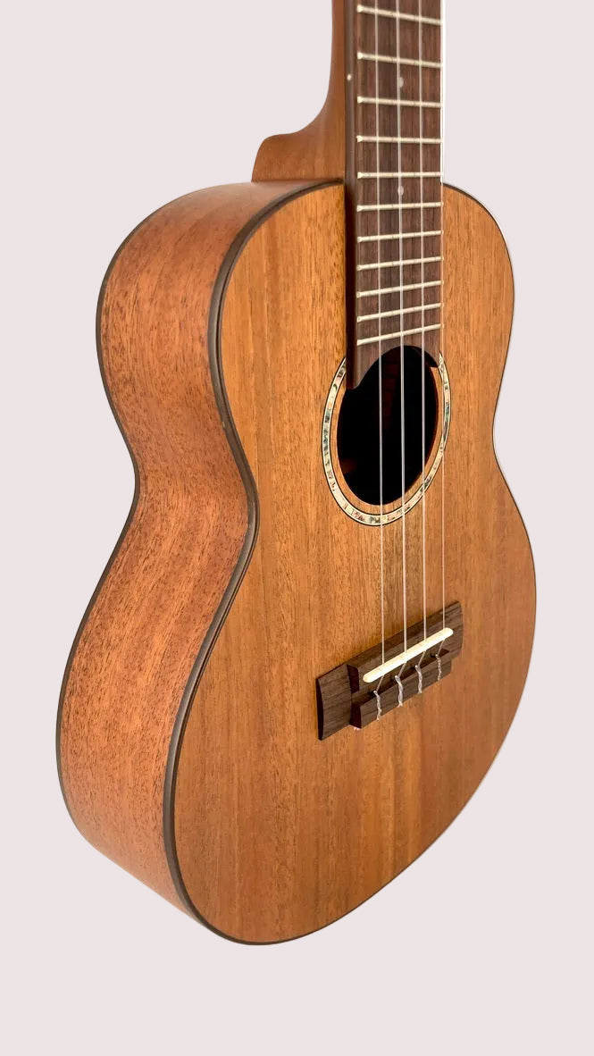 aNueNue C3 Concert