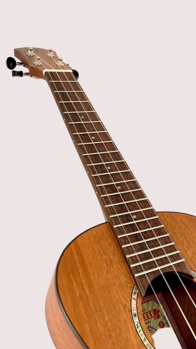 aNueNue C3 Concert