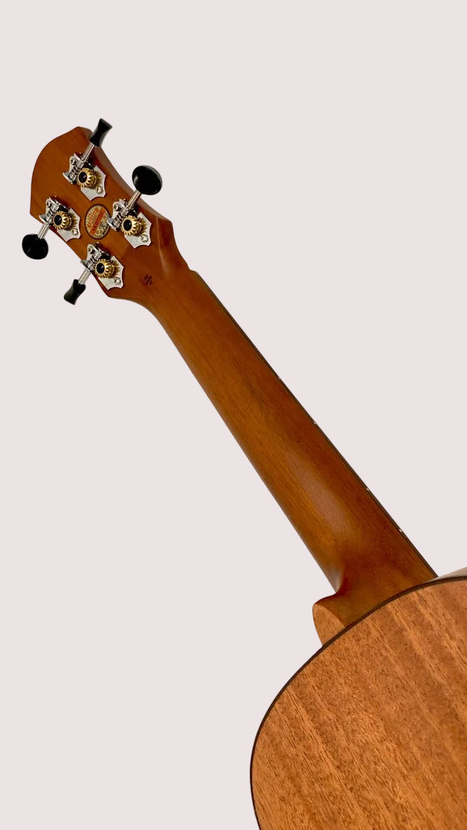 aNueNue C3 Concert