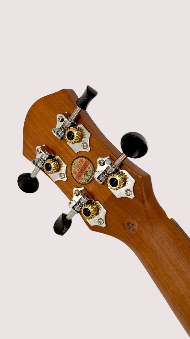 aNueNue C3 Concert