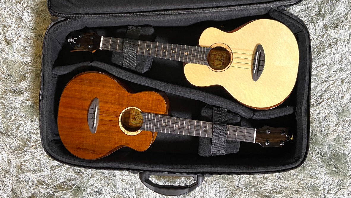 aNueNue Double Gigbag für Concert