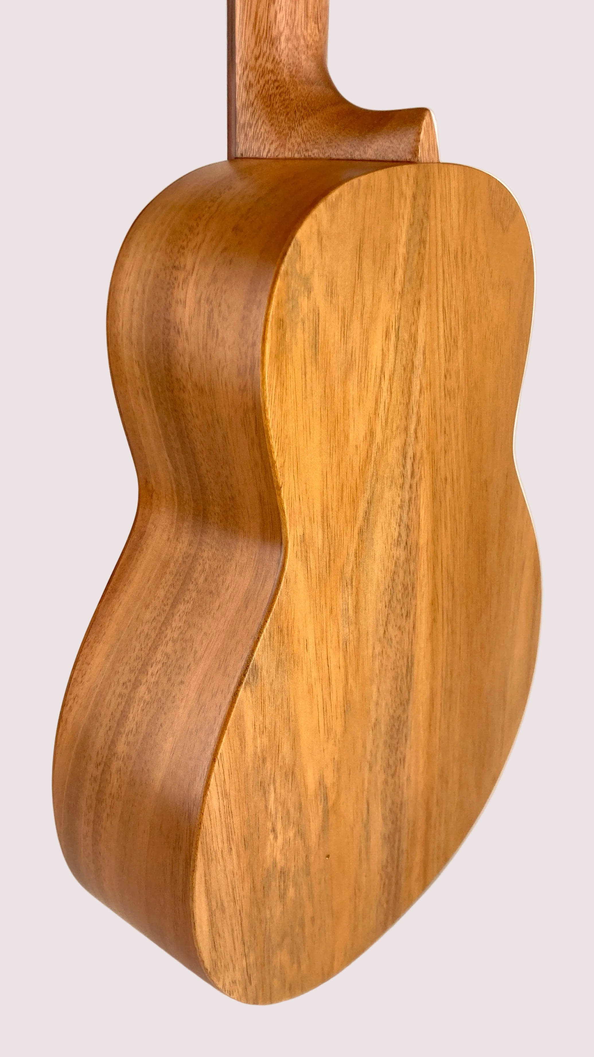 aNueNue T30 Tenor