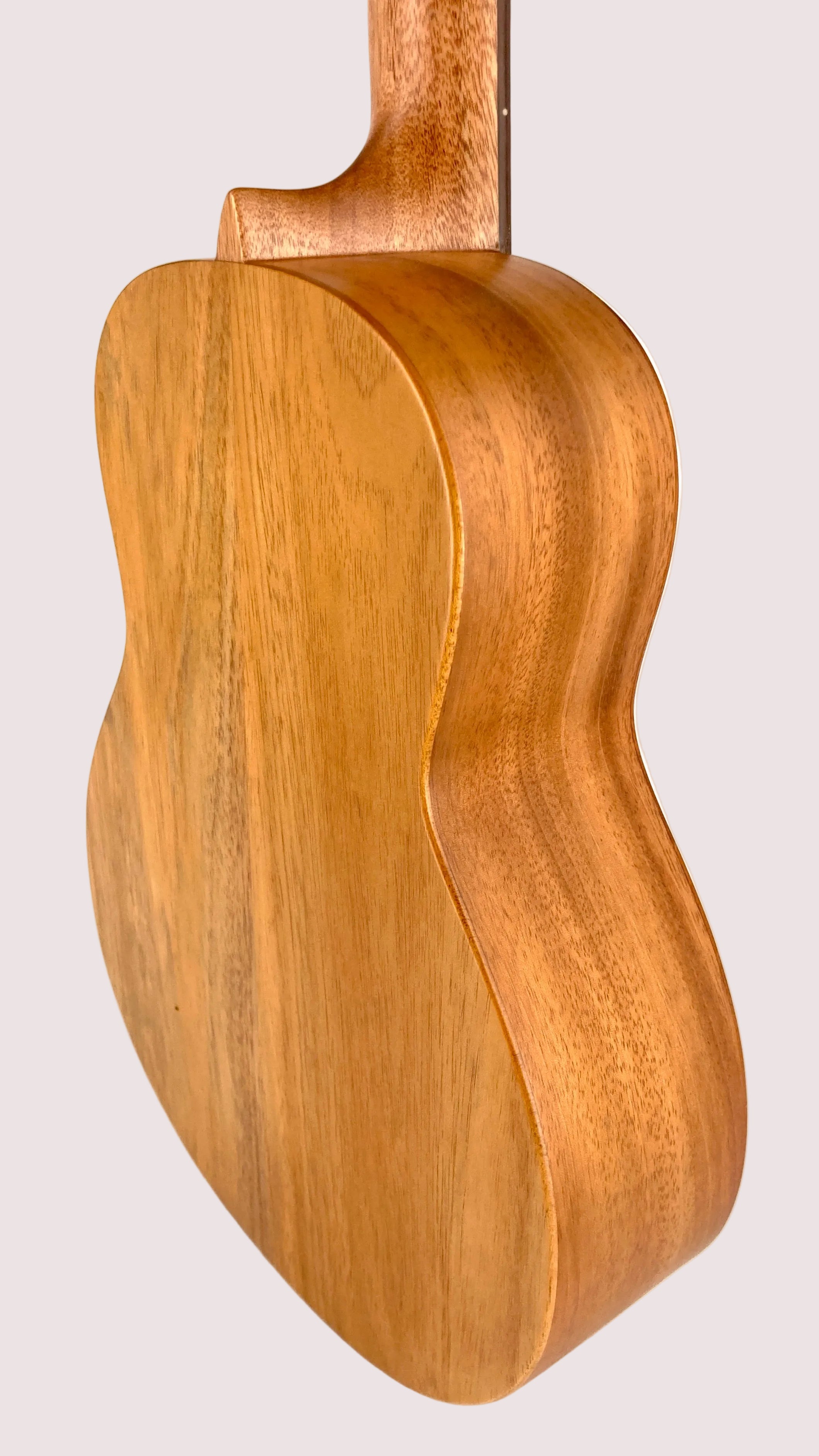 aNueNue T30 Tenor