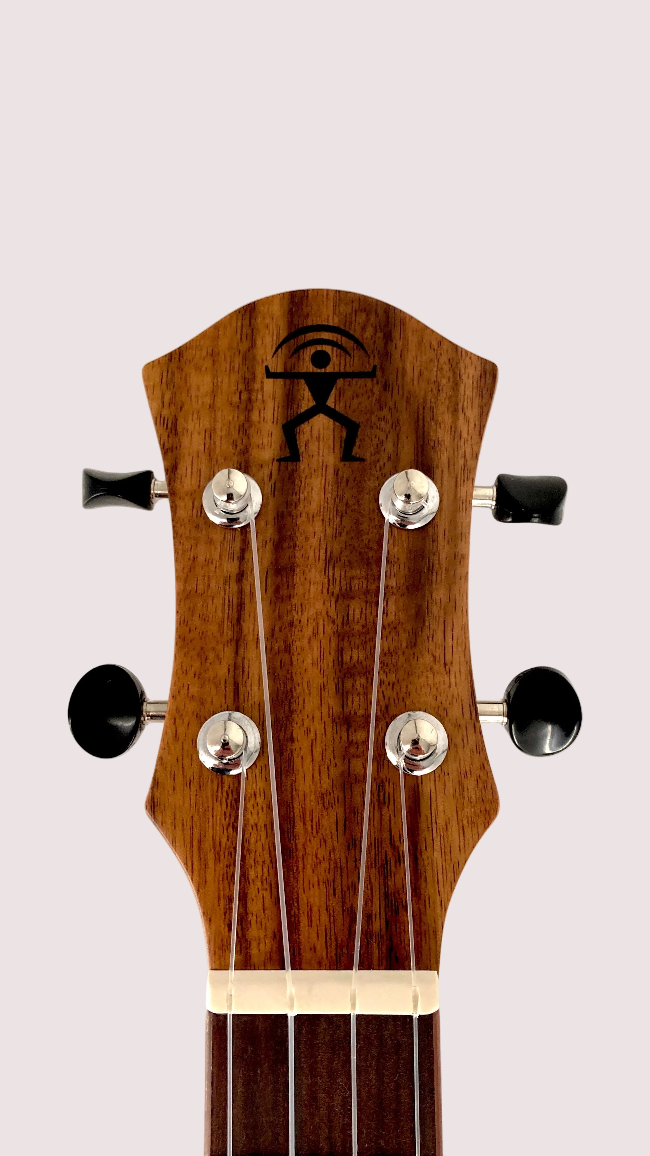 aNueNue T30 Tenor