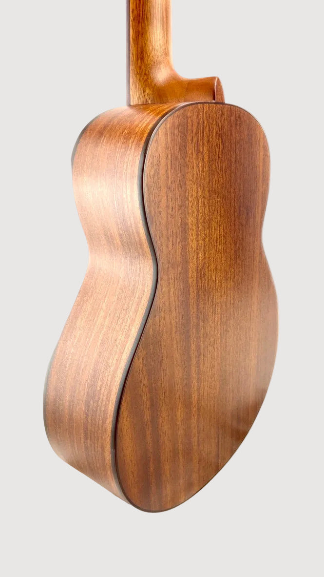 aNueNue T3 Tenor