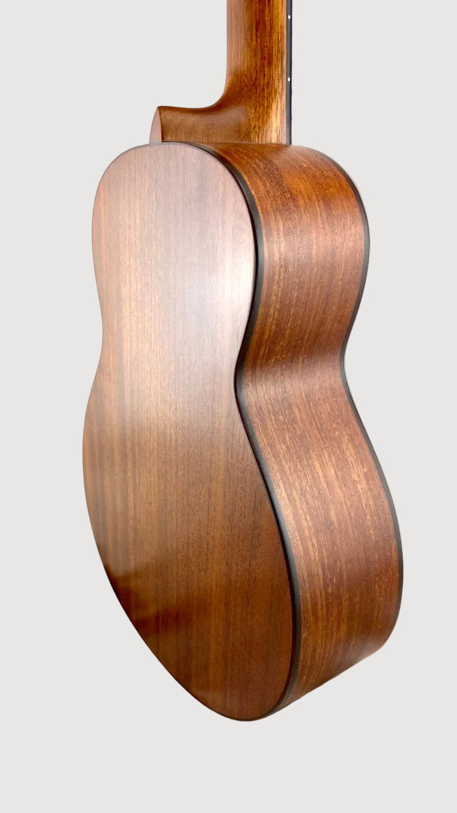 aNueNue T3 Tenor