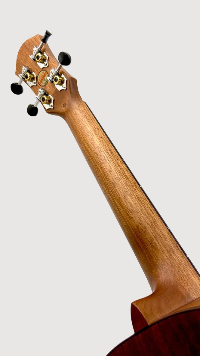 aNueNue T3 Tenor