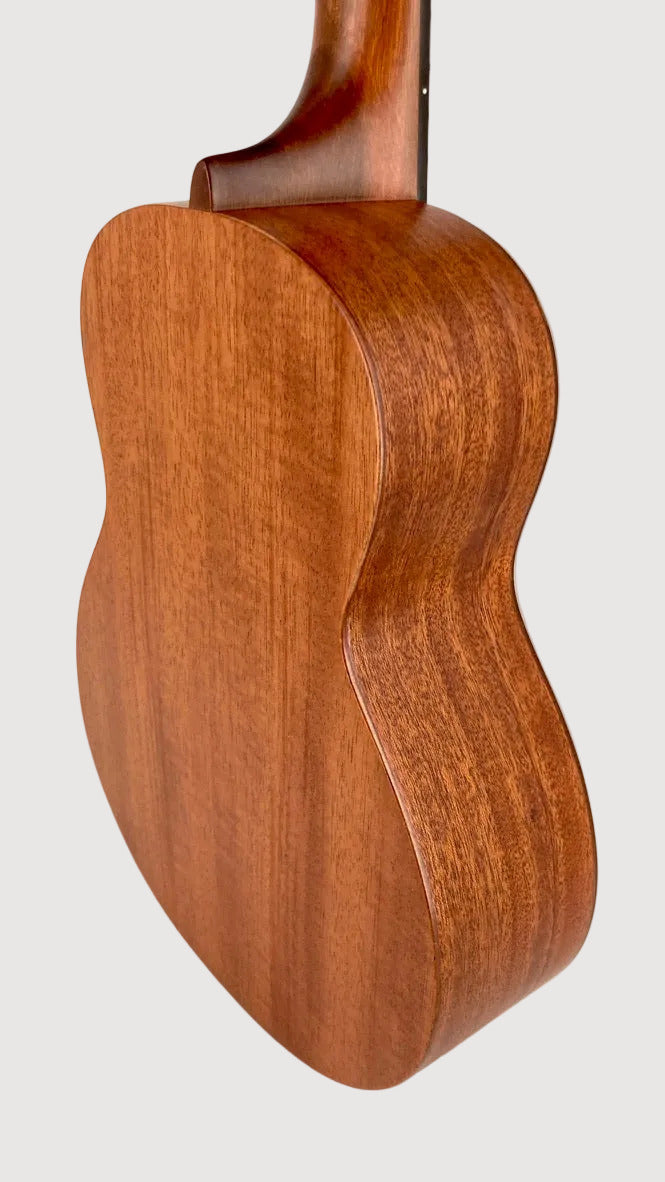 aNueNue U3 Tenor