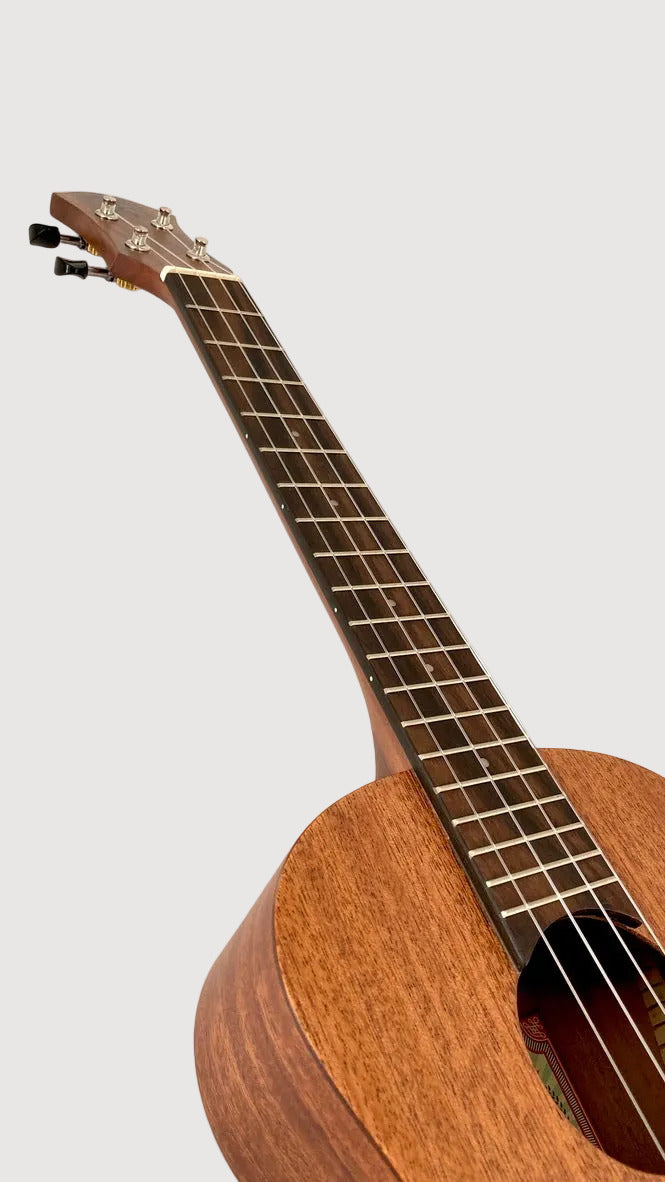 aNueNue U3 Tenor