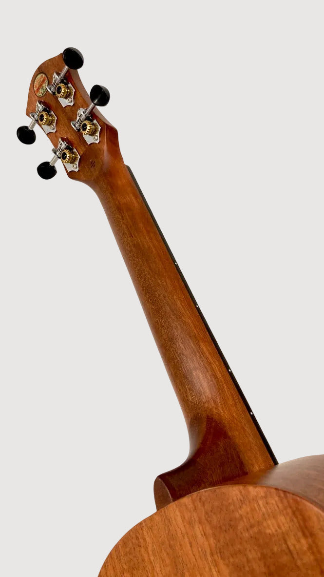 aNueNue U3 Tenor
