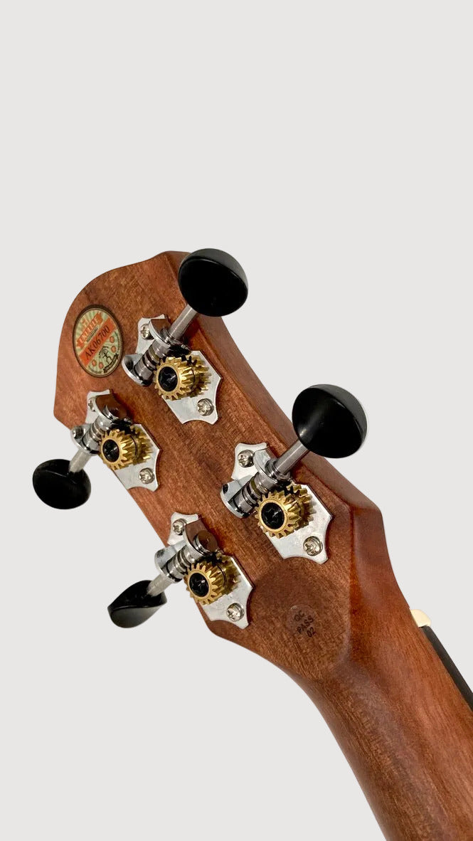 aNueNue U3 Tenor