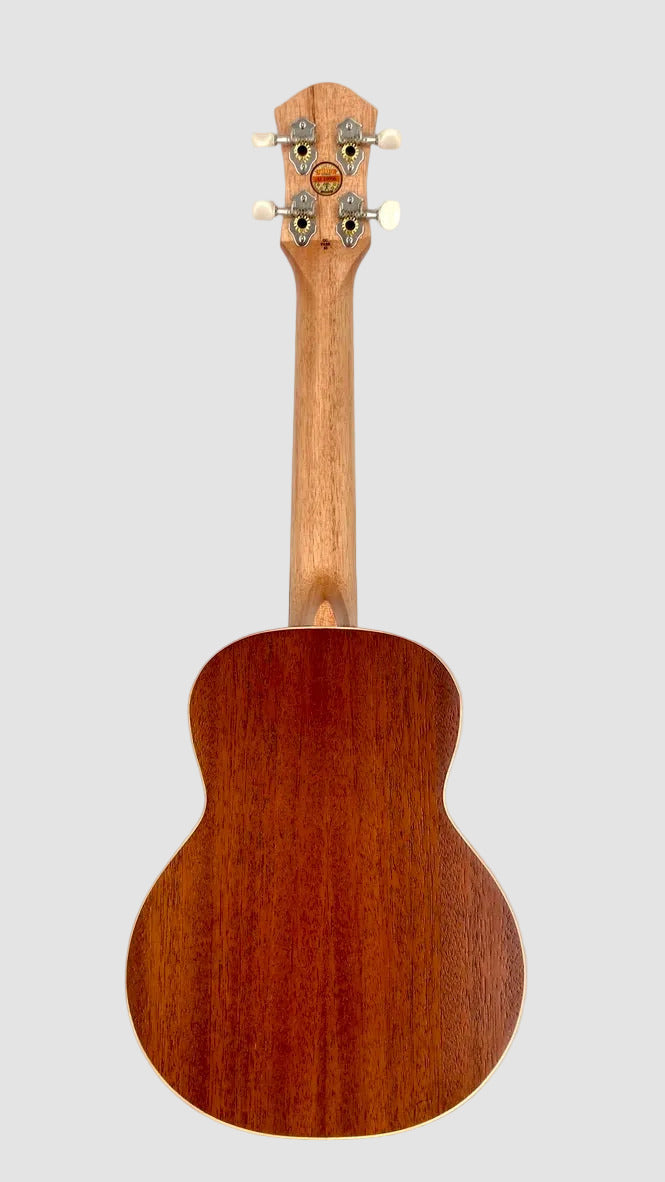 aNueNue UC-10 BB Concert