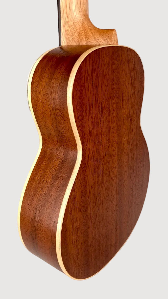 aNueNue UC-10 BB Concert