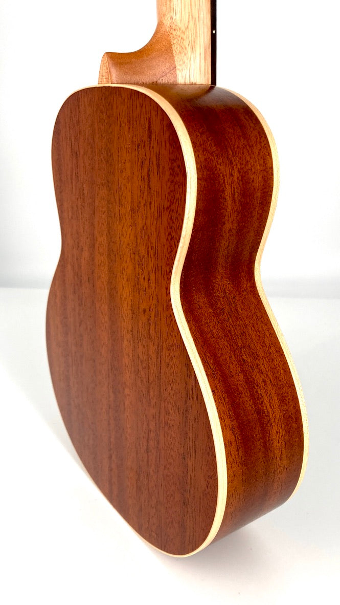 aNueNue UC-10 BB Concert