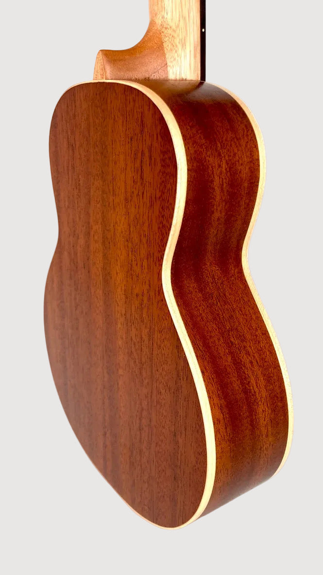 aNueNue UC-10 BB Concert