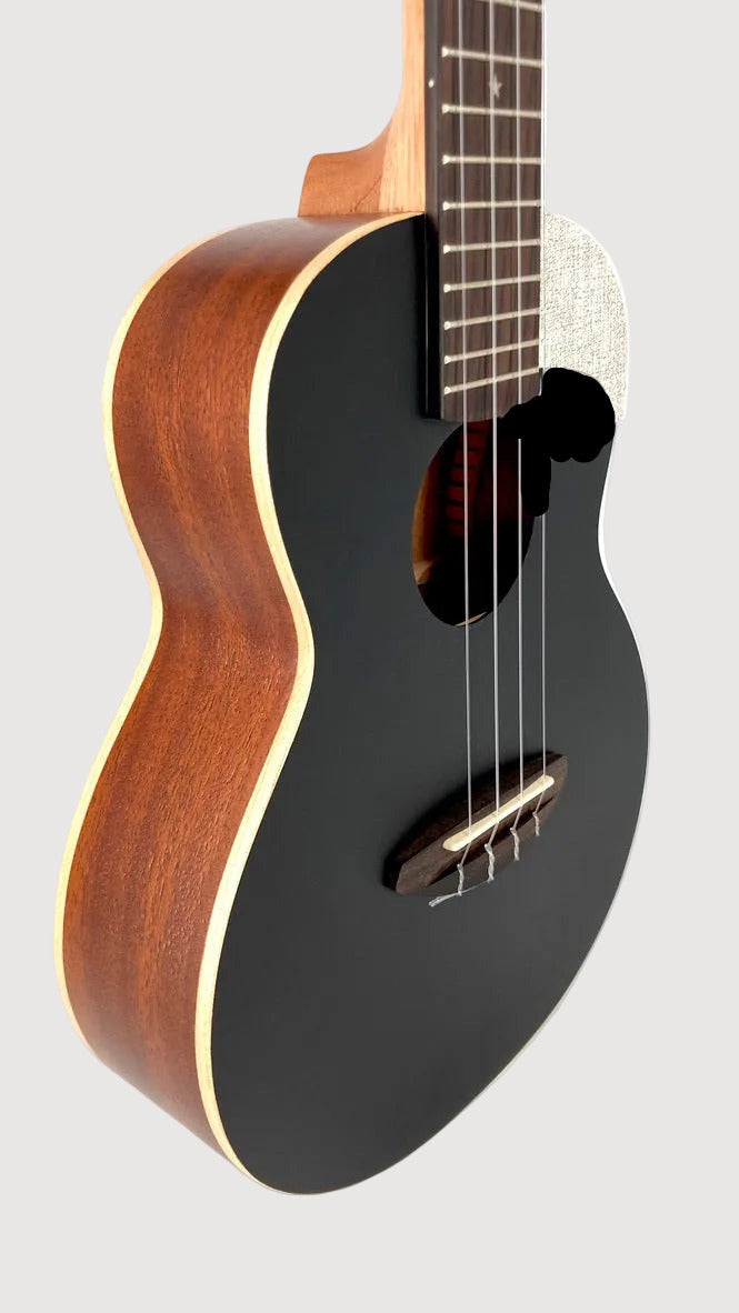 aNueNue UC-10 BB Concert