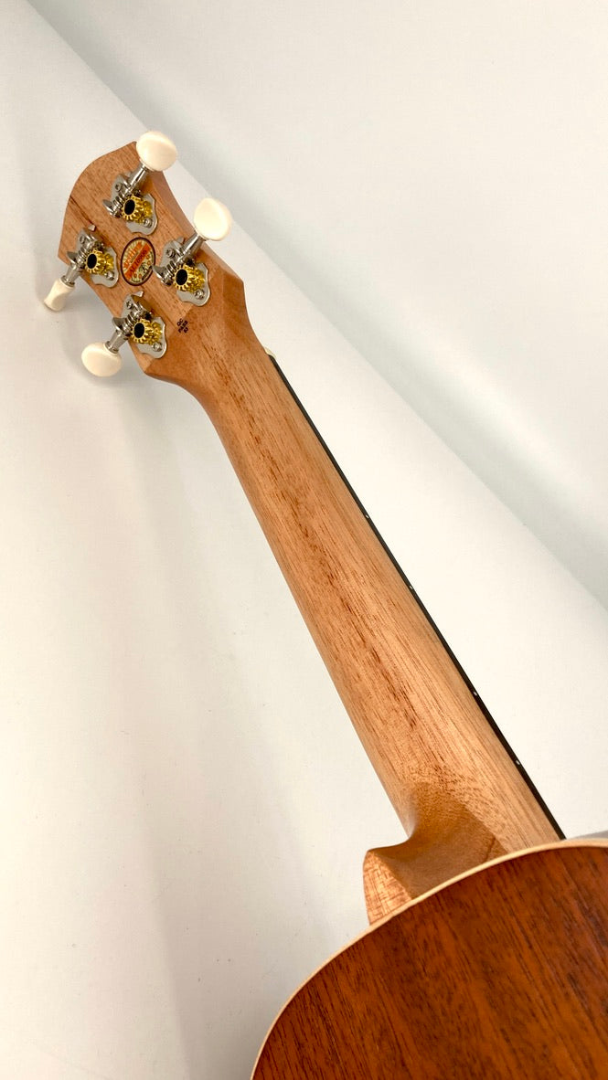 aNueNue UC-10 BB Concert