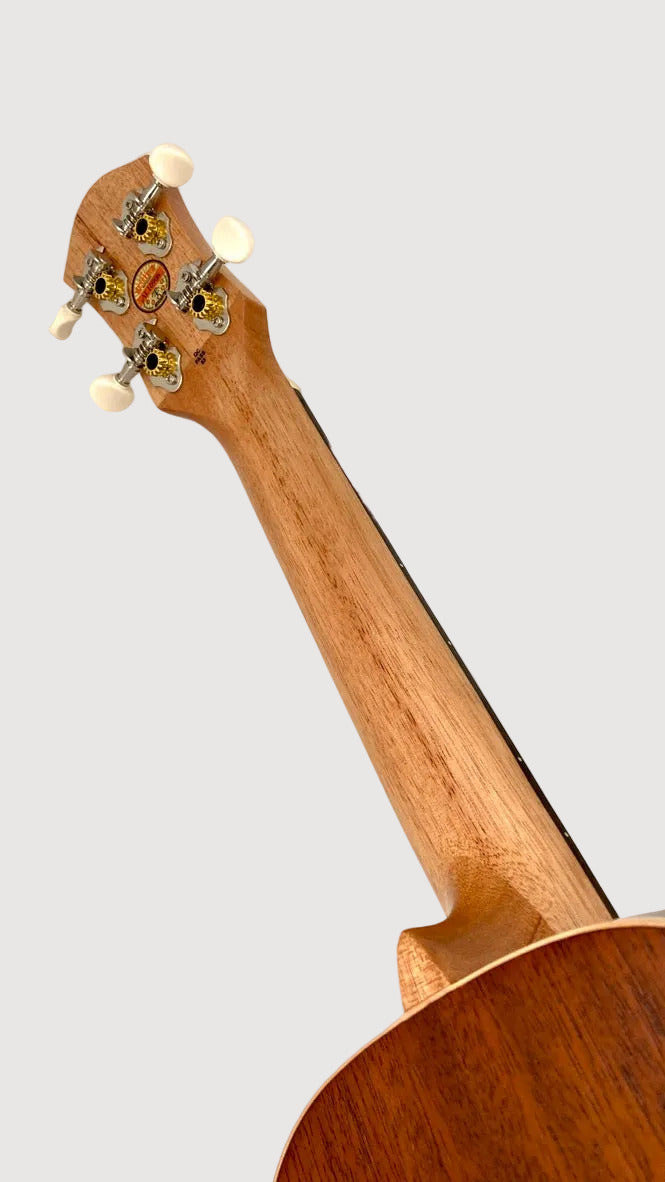 aNueNue UC-10 BB Concert