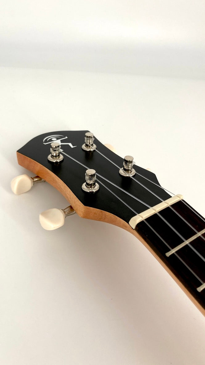 aNueNue UC-10 BB Concert