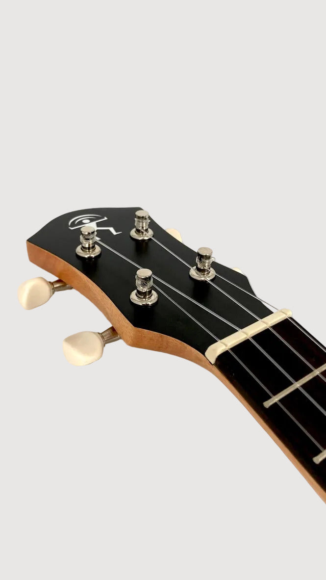aNueNue UC-10 BB Concert
