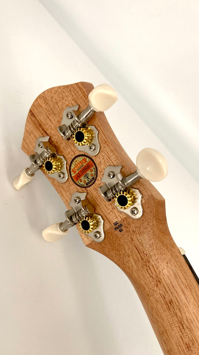 aNueNue UC-10 BB Concert